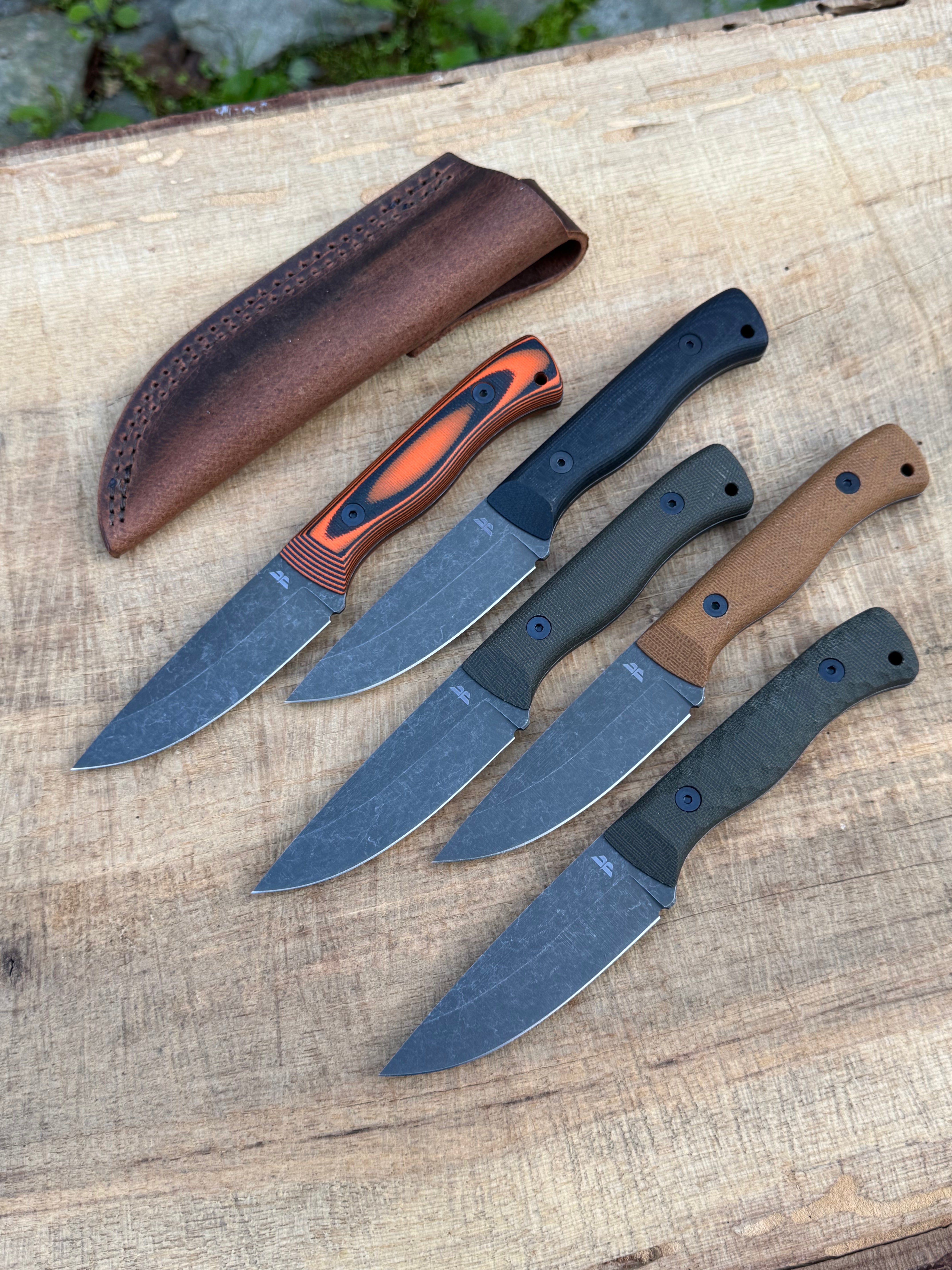 Bruin (CPM-3V)