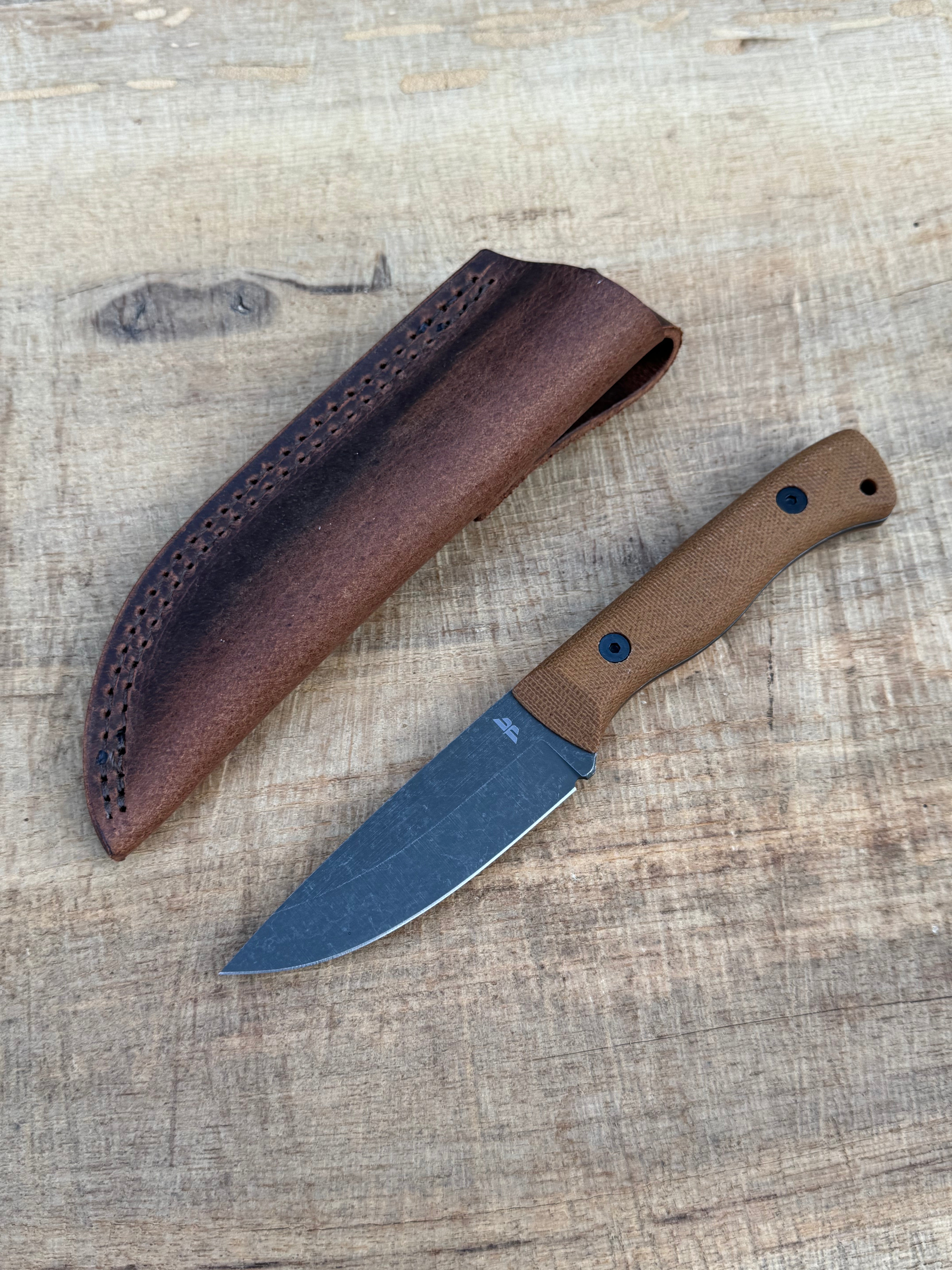 Bruin (CPM-3V)