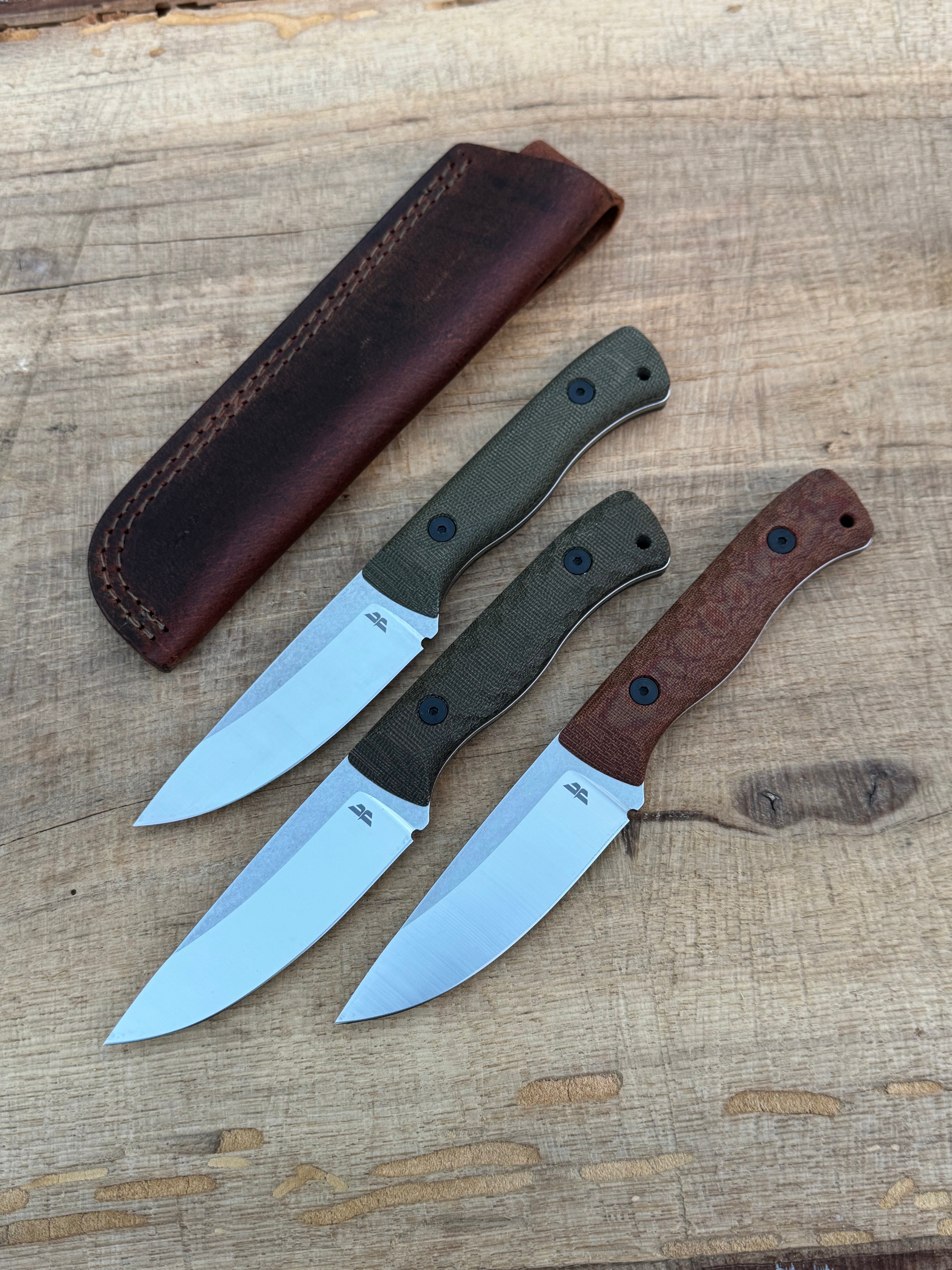 Bruin (CPM-154)