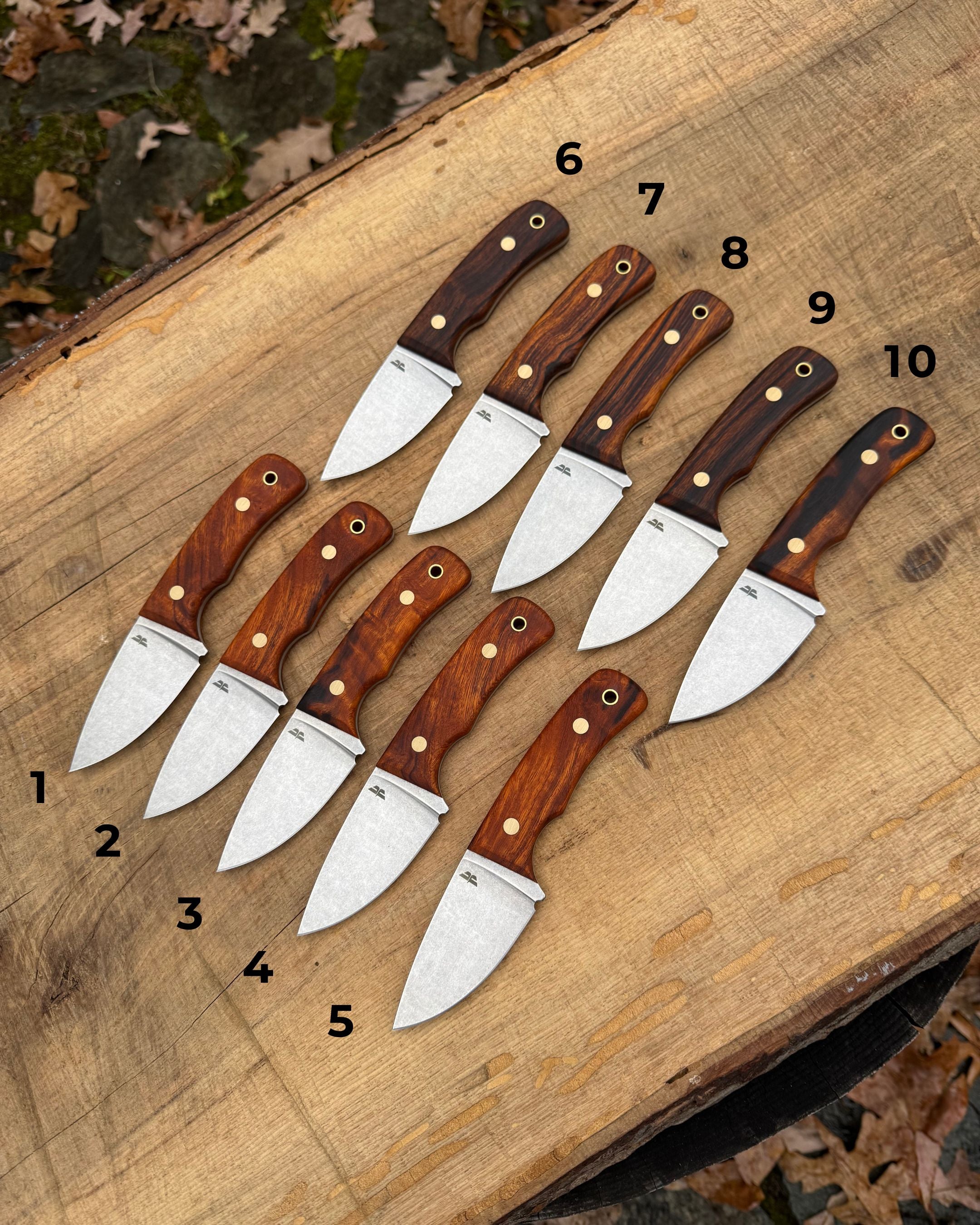 Desert Ironwood Wicket XL