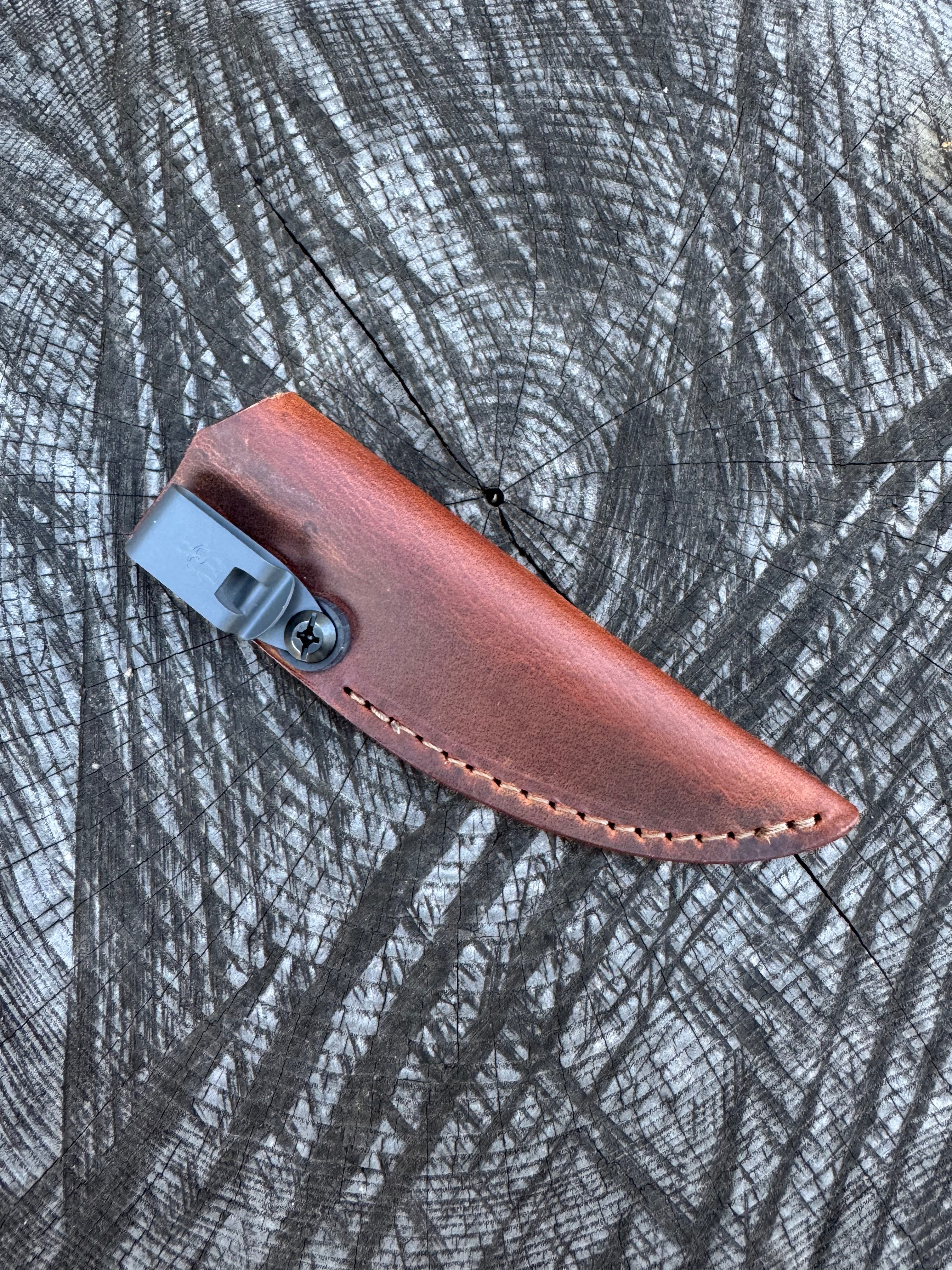 Leather Chickpea Sheath