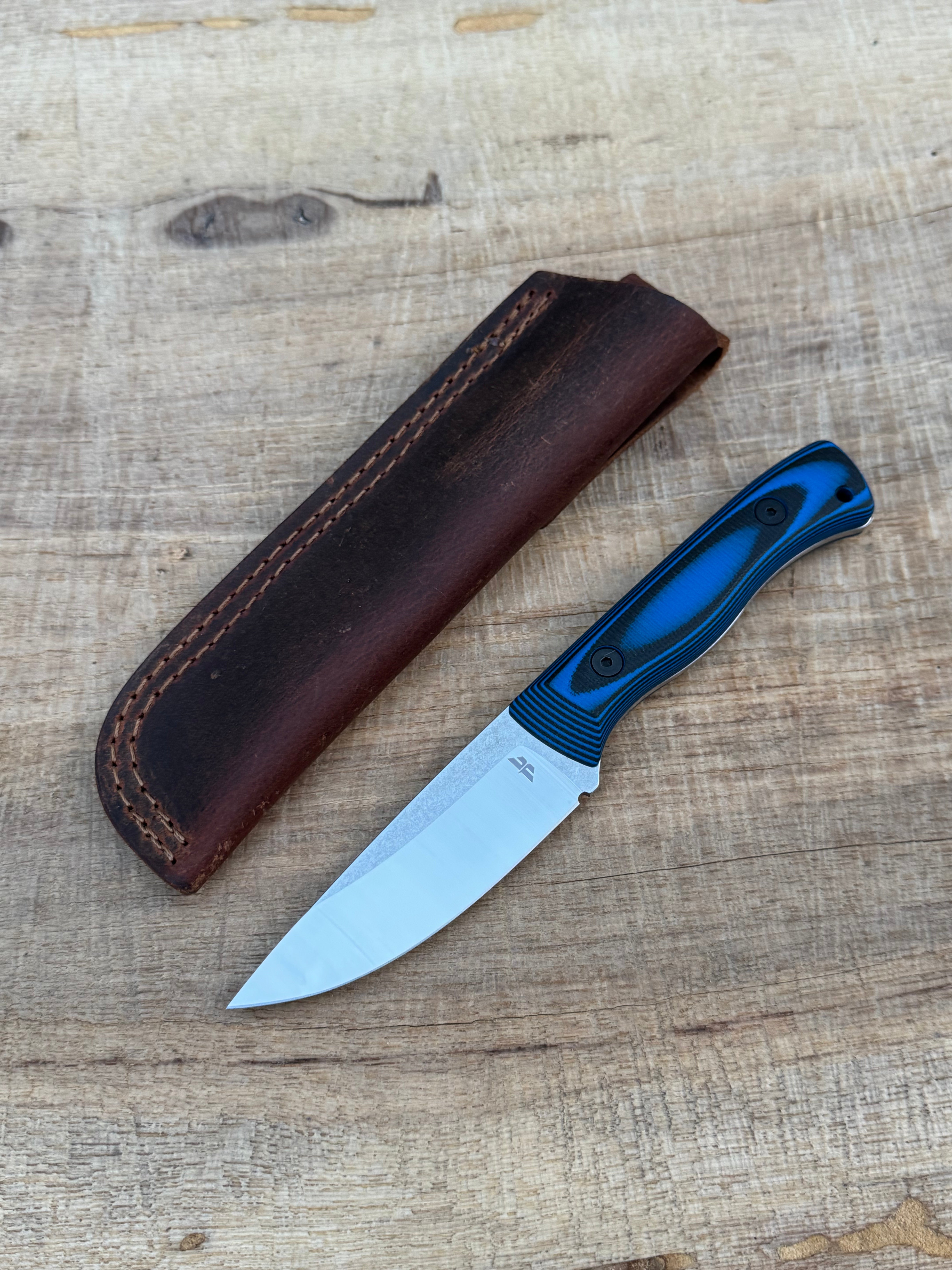 Bruin (CPM-154)