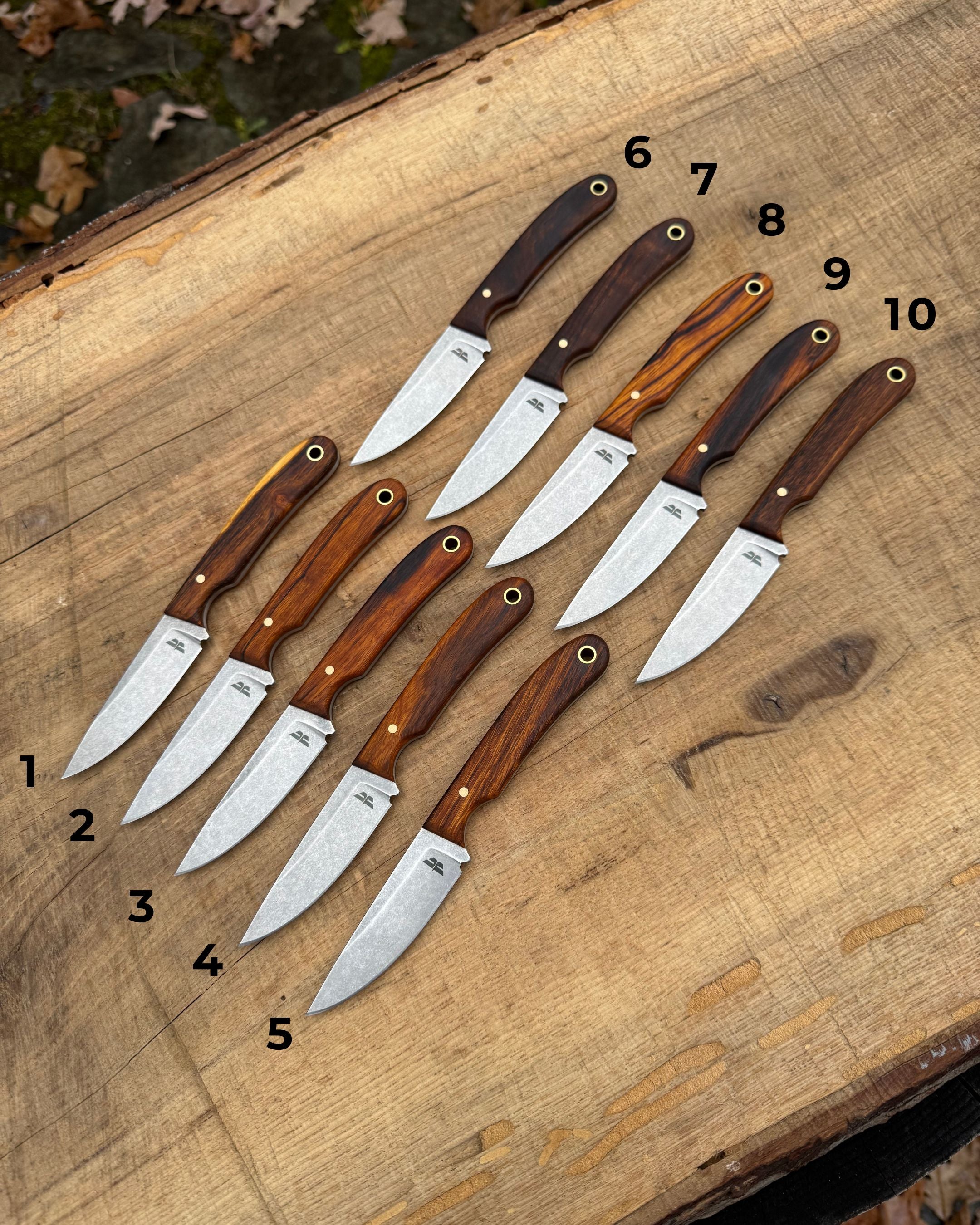 Desert Ironwood Chickpea