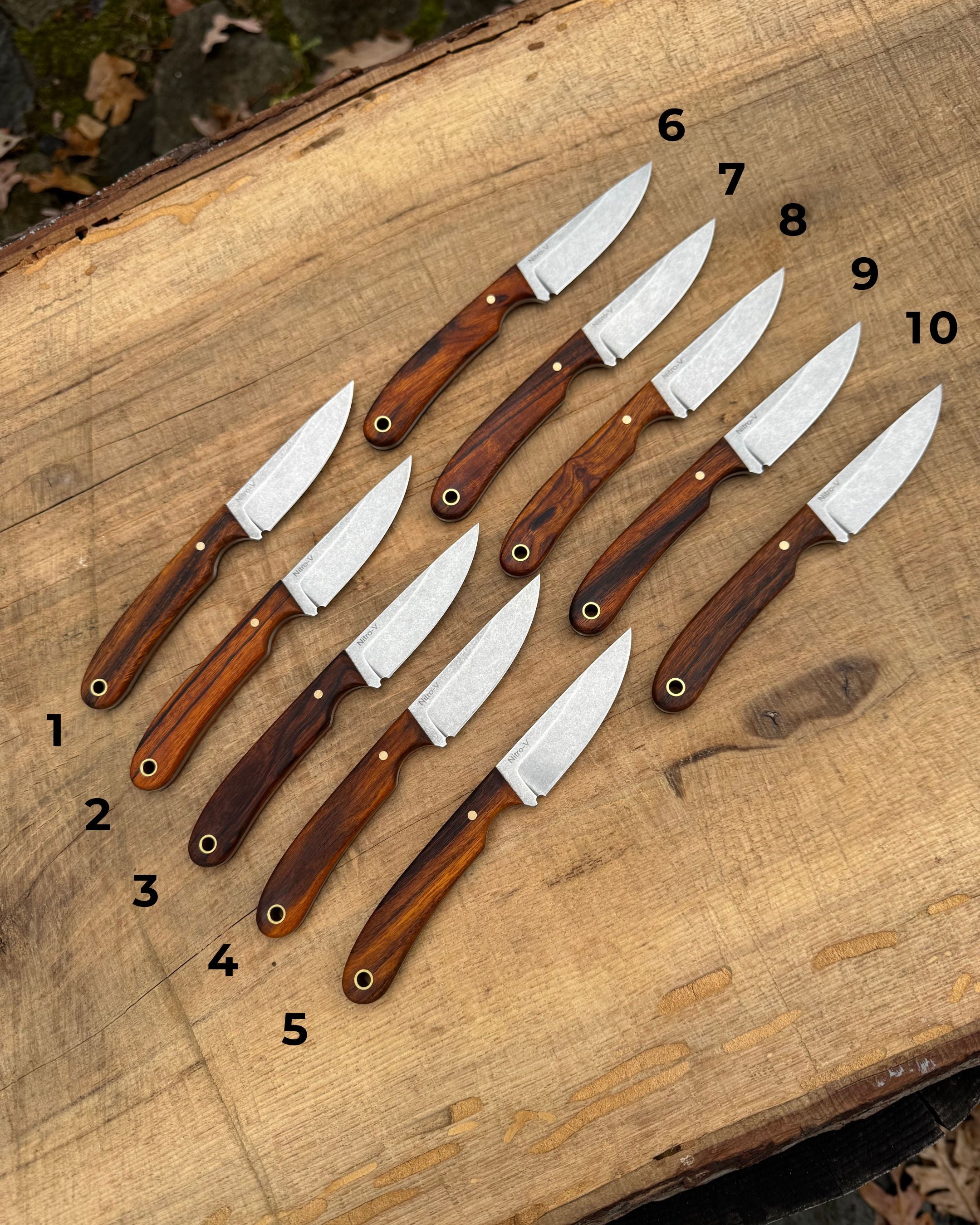 Desert Ironwood Chickpea